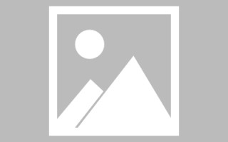 新乡网页设计英文默认字体（网页设置英文转换中文）